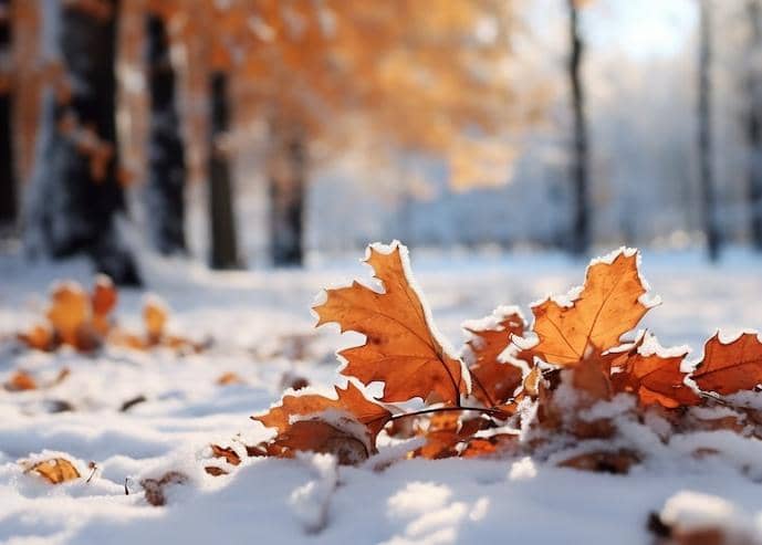 چکامه اصغرک